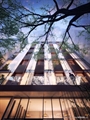 TaK Architects | 2022 | V1367  vizualizace | exterior visualizations 